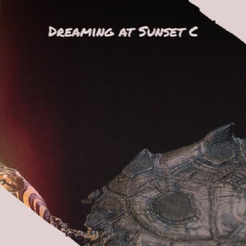 Please Don't Go Without Me