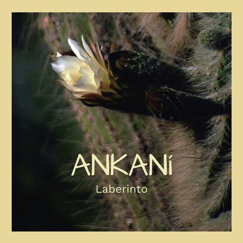 Francesco cover art