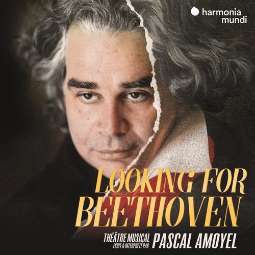 Looking for Beethoven