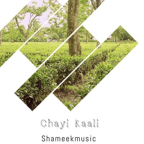 Manzile-Chayi Kaali