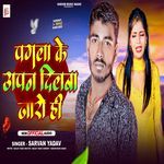 Pagla Ke Apan Dilba Jaro Hi