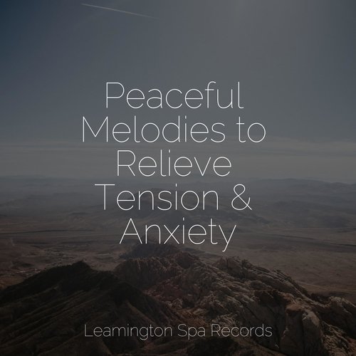 Peaceful Melodies to Relieve Tension & Anxiety