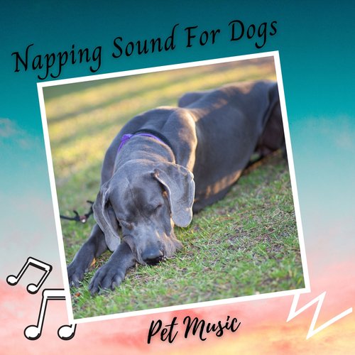 Sleepy Dogs cover art
