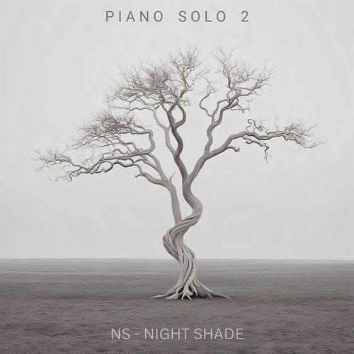 Piano Solo 2