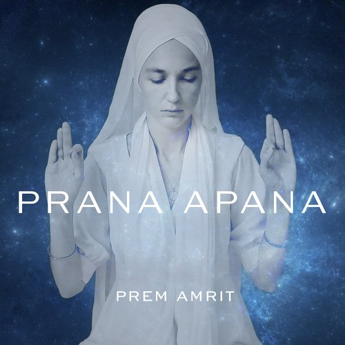 Prana Apana (feat. M.B. Gordy)_poster_image