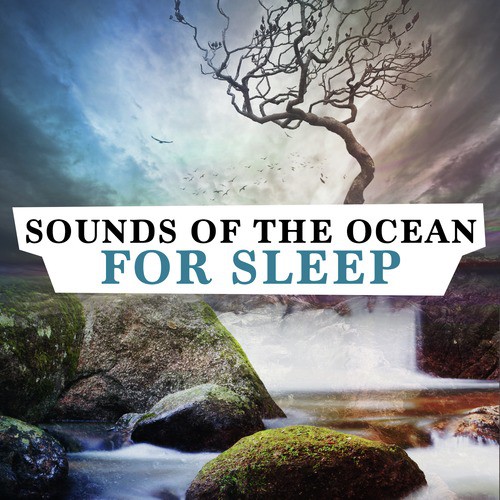 Sounds of the Ocean for Sleep