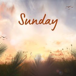 Sunday