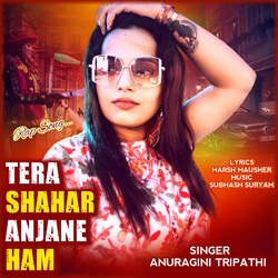 Tera Shahar Anjane Ham-CCk5UEFxZGE