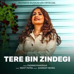 Tere Bin Zindagi-GBoyAzBCXXI