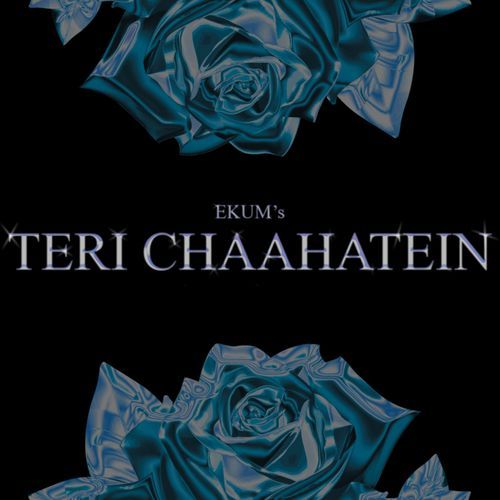 Teri Chaahatein