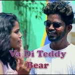 Va Di Teddy Bear