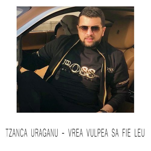 Vrea Vulpea Sa Fie Leu