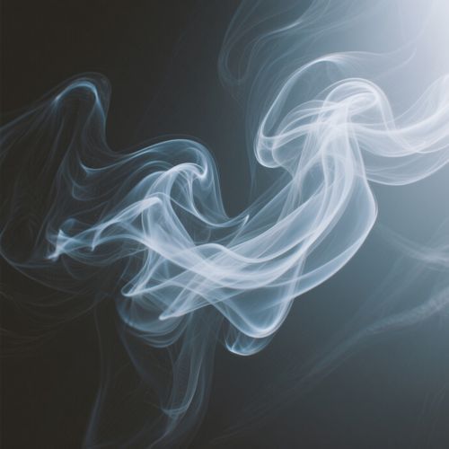Y Yunk Vino - Basead na Blunxt