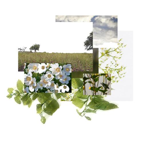 i'm sorry i'm just daydreaming.