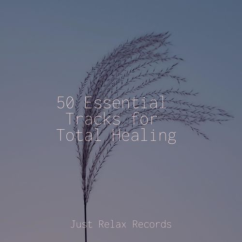 50 Essential Tracks for Total Healing