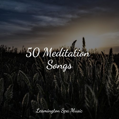 Meditating Music cover art