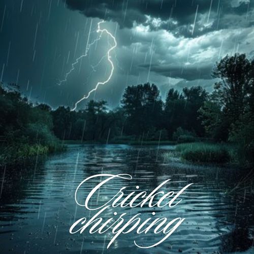 Cricket chirping_poster_image