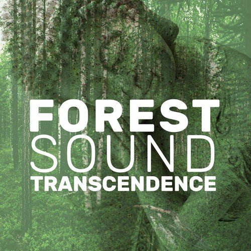 Forest Sound Transcendence_poster_image