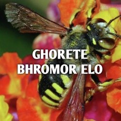 GHORETE BHROMOR ELO-PBFTZSJ0fFk