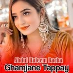 Ghamjane Tappay