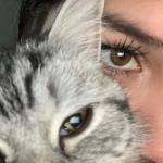 Good Looking (Slowed + Reverb)