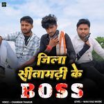 Jila Sitamarhi Ke Boss