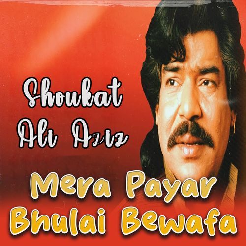 Mera Payar Bhulai Bewafa