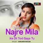 Najre Mila Ke Dil Tod Gaya Tu