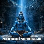 Namami Shamishan