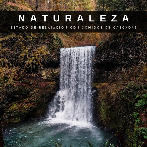 Música Para Lograr La Meditación cover art