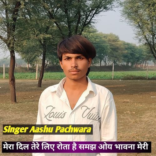 मेरा दिल तेर�े लिए रोता है समझ ओय भावना मेरी