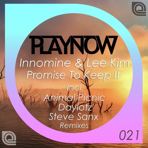 Promise To Keep It (Animal Picnic Remix) cover art