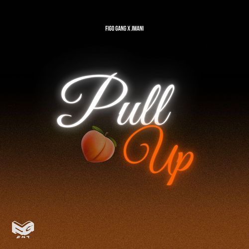 Pull Up_poster_image