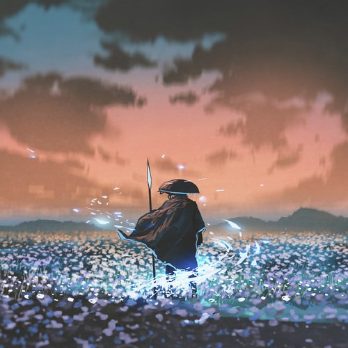 Ronin cover art