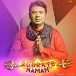 Rudraye Namah artwork