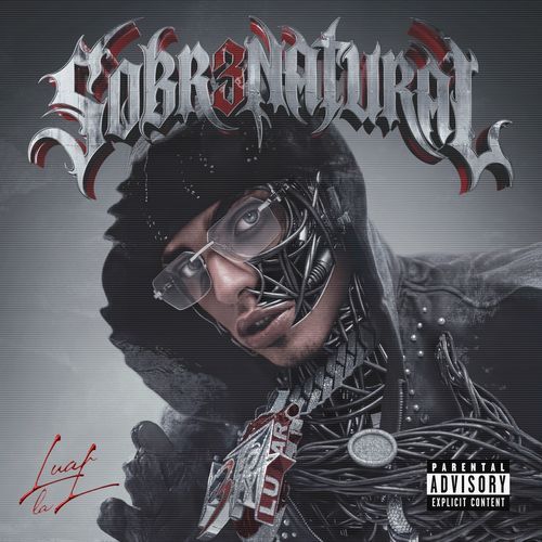 ⁠Historia De Un Gangster (feat. Juhn) cover art