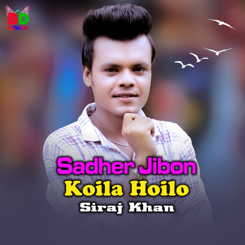 Sadher Jibon Koila Hoilo