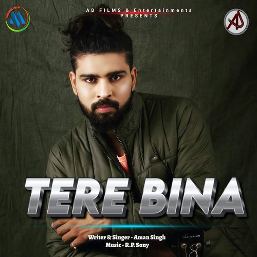 Tere Bina (RP Sony)