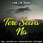 Tere Seeva Na