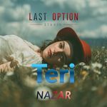 Teri Nazar artwork