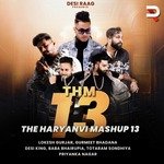 The Haryanvi Mashup 13