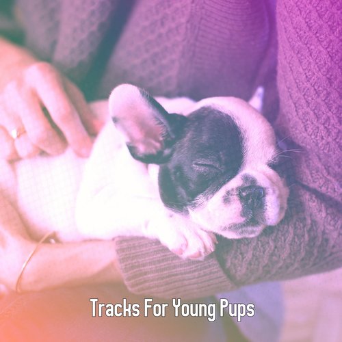 Tracks For Young Pups