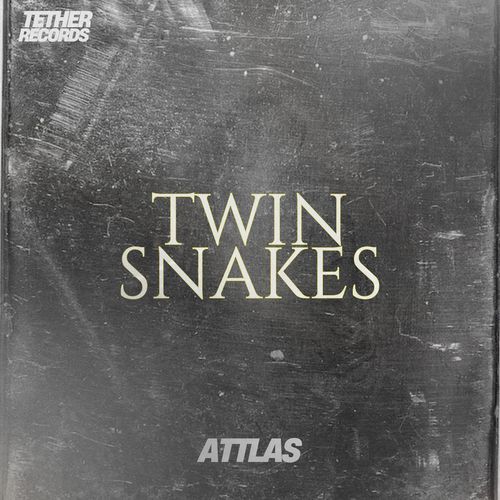 Twin Snakes
