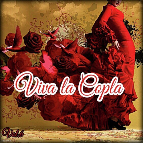 Viva la Copla, Vol. 6