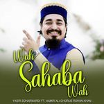 Wah Sahaba Wah