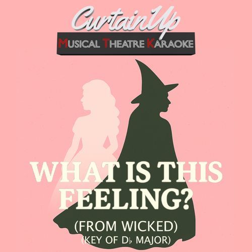 What Is This Feeling? (from Wicked) (Karaoke Instrumental)