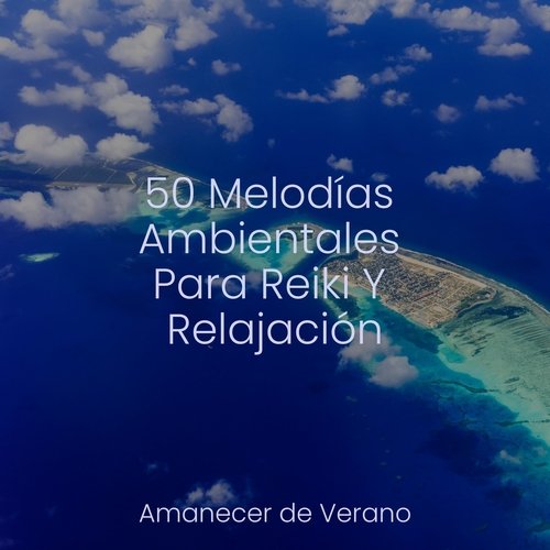 50 Melodías Ambientales Para Reiki Y Relajación