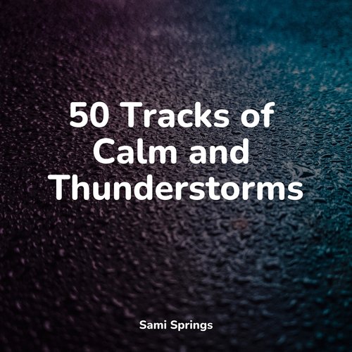 50 Tracks of Calm and Thunderstorms_poster_image