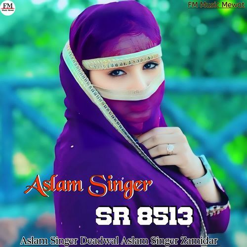 Aslam Singer SR 8513