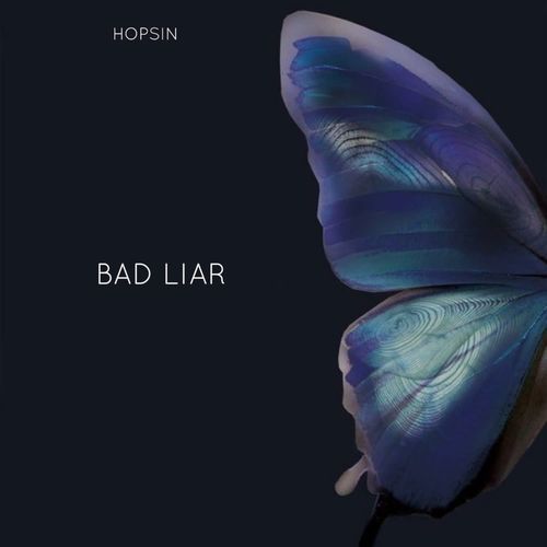 Bad Liar